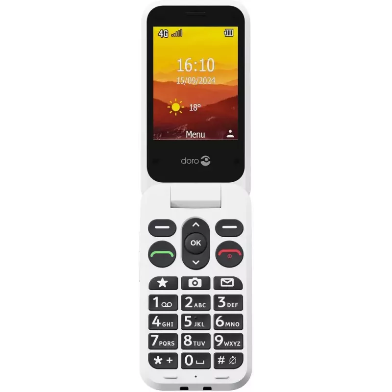 Mobilais tālrunis Doro Leva L31 2,8 collas