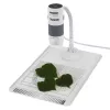 Digitālais mikroskops Carson EFLEX 300x, 75–300× palielinājums, 1600×1200 kamera, pelēks/baltas