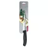 Nazis Victorinox Karaca 1 gab. V-6.80 03.15B