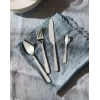 Virtuves galda piederumu komplekts ALESSI BG02S24 — galda nažu un dakšiņu komplekts, nerūsējošais tērauds