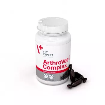 VETEXPERT ArthroVet Collagen Small breed - uztura bagātinātāji suņiem un kaķiem - 60 tabletes