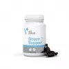 VetExpert NeuroSupport 45 kapsulas.