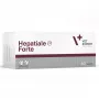 VetExpert Hepatiale Forte 40 tabletes.