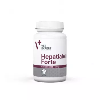 VetExpert Hepatiale Forte Large Breed 40 tabletes.