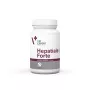 VetExpert Hepatiale Forte Large Breed 40 tabletes.
