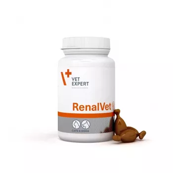 VetExpert RenalVet 60 kapsulas.
