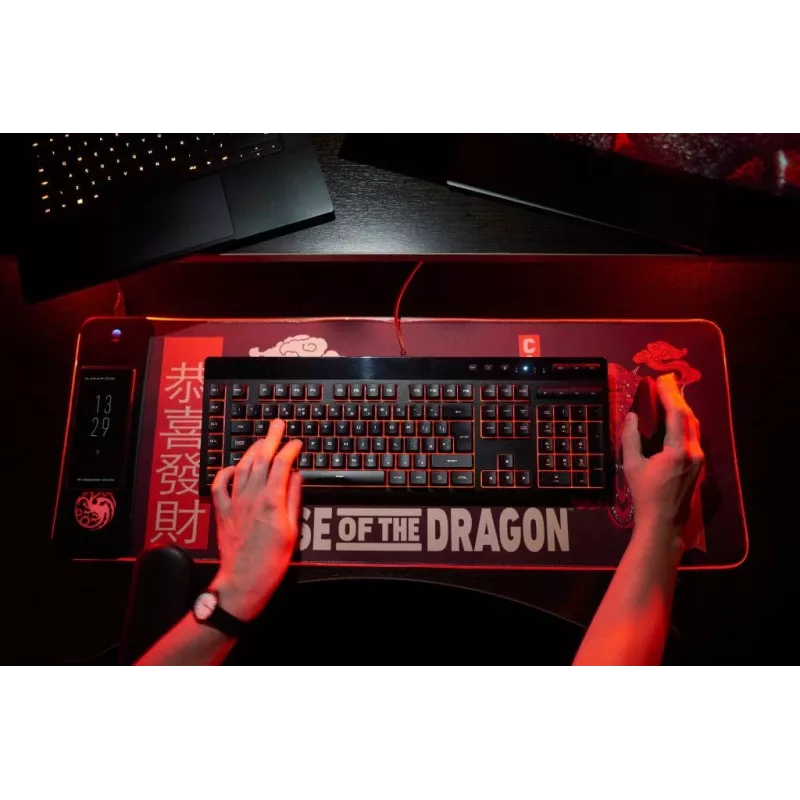Numskull peles paliktnis House of Dragons + bezvadu uzlāde 30x80cm