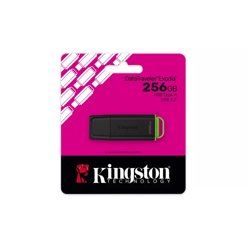Kingston Technology DataTraveler 256GB pārnēsājams USB 3.2 Gen 1 Exodia melns/zaļš