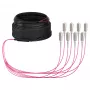 EFB maģistrāles kabelis U-DQ(ZN)BH OM4 8G (1x8) SC-SC 10m Dca LSZH