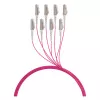 EFB maģistrālais kabelis U-DQ(ZN)BH OM4 8G (1x8) LC-LC 190m Dca LSZH