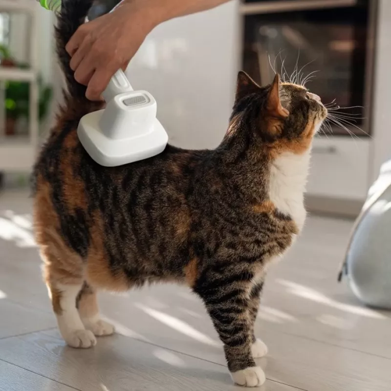 LX-052 Pet Grooming Kit