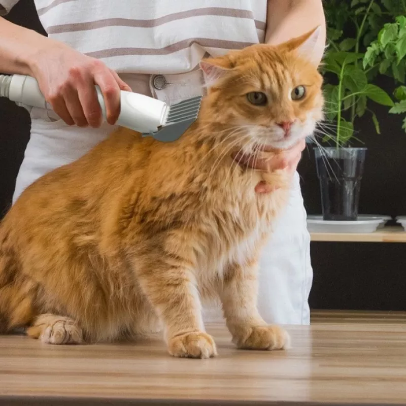 LX-052 Pet Grooming Kit