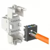 Modulārs RJ-45 ievades modulis EFB Elektronik ECOLAN E-20080, balts
