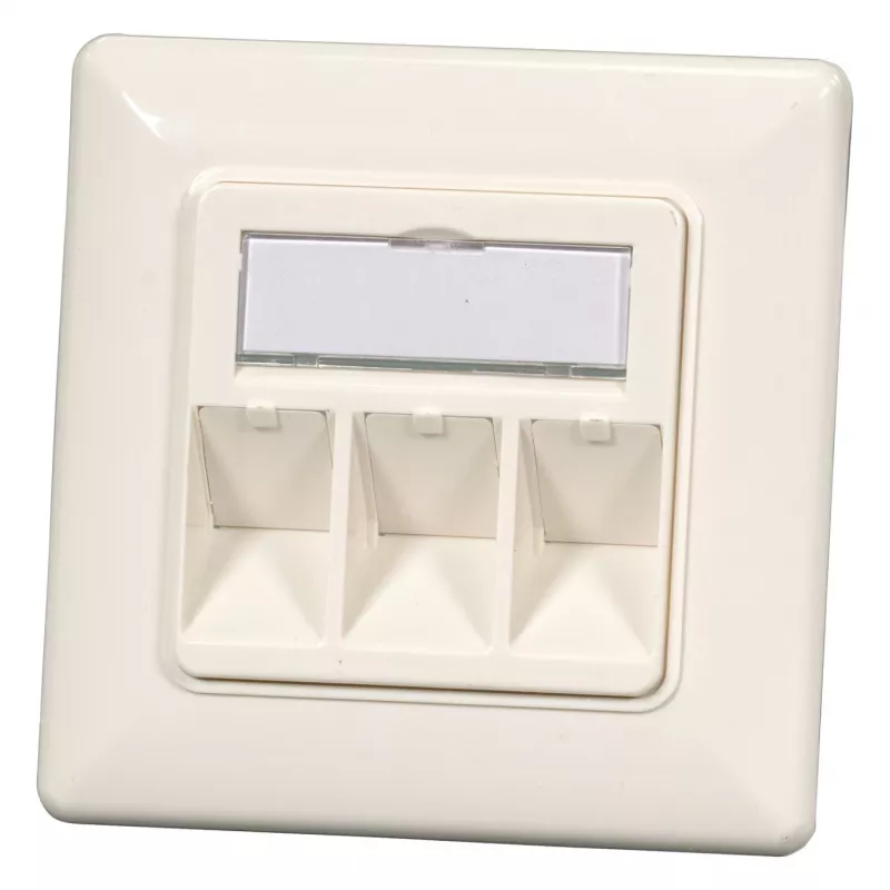EFB Elektronik 2 portu Keystone rāmja komplekts ET-25091 — taisna DIN49075 kontaktligzda, RAL9003 balta, 80×80 mm rāmis ar 50×50 mm centrālo plāksni