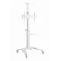 TV Set Accessory Floor Stand 37-70/balta TVS-70T-02-W Gembird