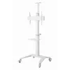 TV Set Accessory Floor Stand 37-70/balta TVS-70T-02-W Gembird