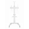 TV Set Accessory Floor Stand 37-70/balta TVS-70T-02-W Gembird