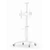 TV Set Accessory Floor Stand 37-70/balta TVS-70T-02-W Gembird