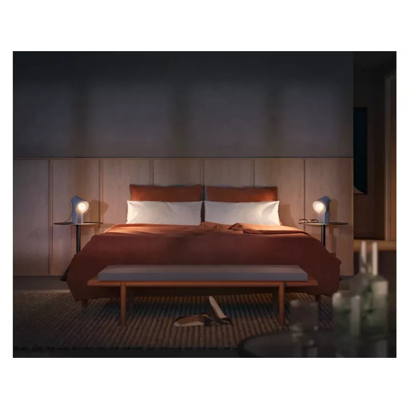 Philips Hue balta ambience A60 – E27 viedā spuldze – 1100 (2 iepakojums)