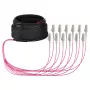 EFB Trunk kabelis U-DQ(ZN)BH OM4 12G (1x12) LC-LC 10m Dca LSZH
