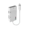 Lindy USB Type C uz trīskāršu displeju pārveidotājs, 3840 x 2160 pikseļi