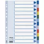 Esselte starplikas PP A4 12 iedaļas, tukšs iedaļu indekss, polivinilhlorīds (PVC), daudzkrāsains, A4, 2, 4, 6, 225 mm