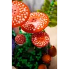 LEGO Botanicals 11505 Meža sēnes (806 gab.)