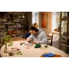 LEGO Botanicals 11505 Meža sēnes (806 gab.)