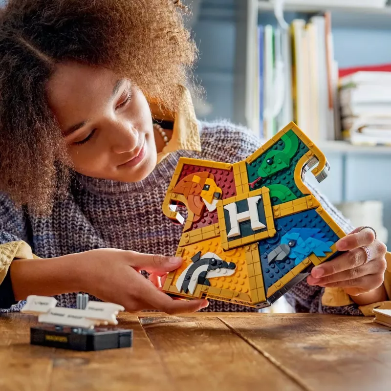 LEGO Harry Potter 76462 Cūkkārpas māju ģerbonis (545 gab.)