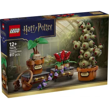 LEGO Harry Potter 76474 Cūkkārpas Herboloģijas augi (817 gab.)