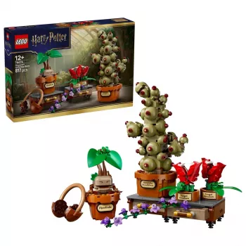 LEGO Harry Potter 76474 Cūkkārpas Herboloģijas augi (817 gab.)