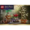 LEGO Harry Potter 76474 Cūkkārpas Herboloģijas augi (817 gab.)