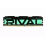 PC atmiņa DDR4 Rival Radiant 16GB (1x16GB) 3200MHz CL16 Zaļa