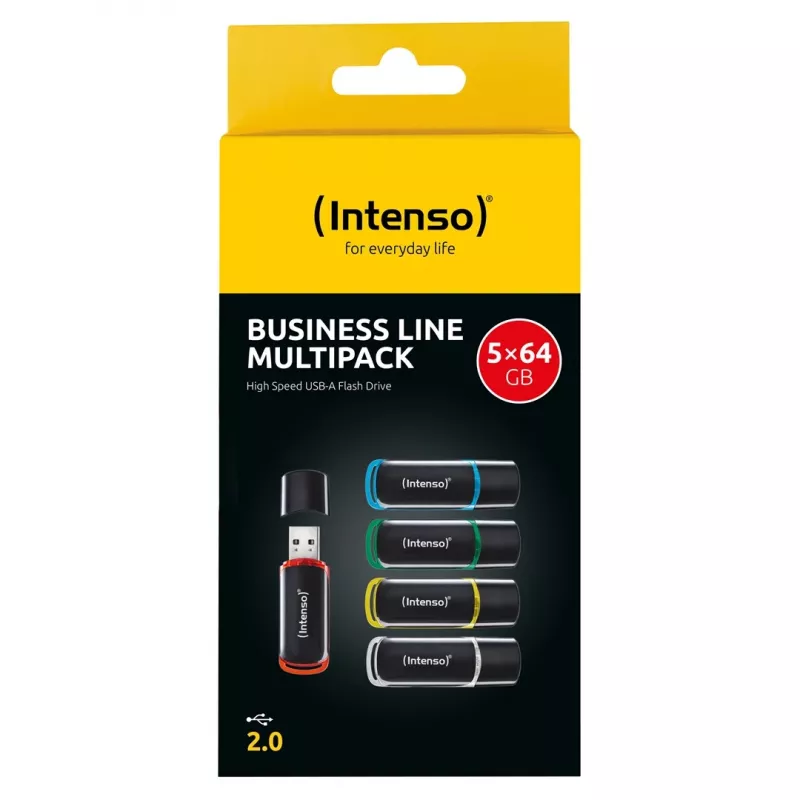 Intenso Business Line 64GB USB 2.0 zibatmiņa 5 komplektā (dažādas krāsas)
