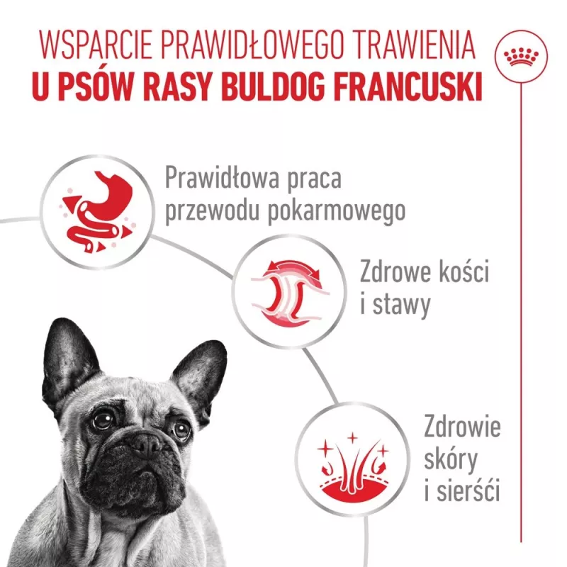 ROYAL CANIN French Bulldog Adult Digestive Health Loaf Box - Mitrā suņu barība - 12x85g