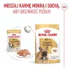 ROYAL CANIN French Bulldog Adult Digestive Health Loaf Box - Mitrā suņu barība - 12x85g