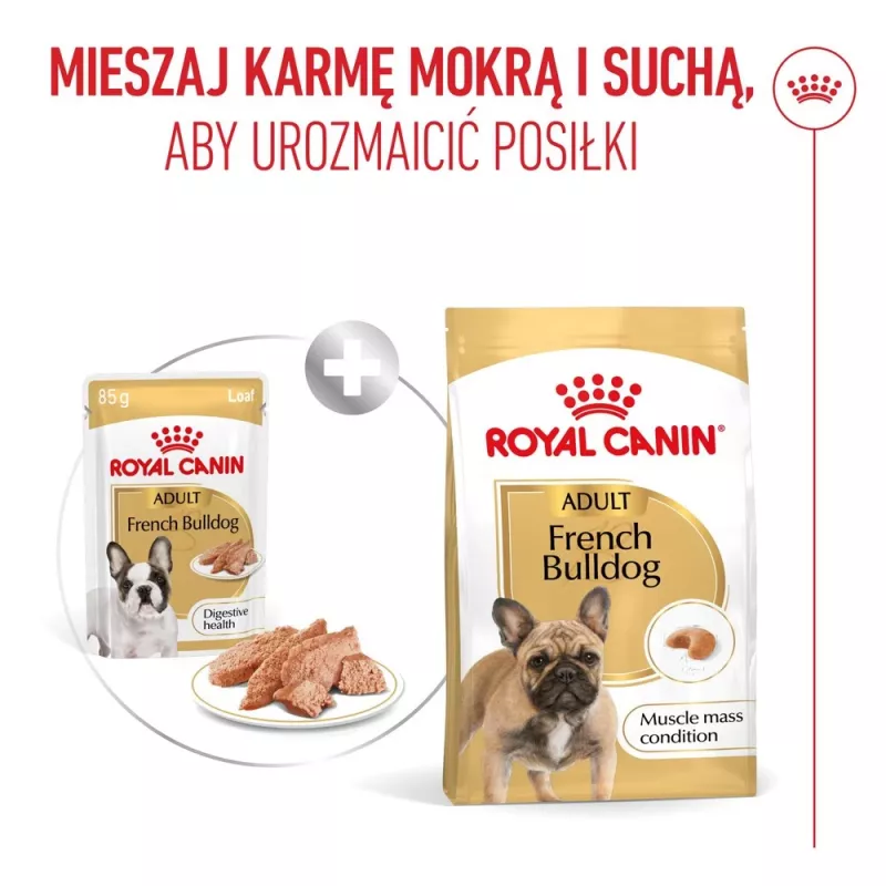 ROYAL CANIN French Bulldog Adult Digestive Health Loaf Box - Mitrā suņu barība - 12x85g