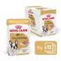 ROYAL CANIN French Bulldog Adult Digestive Health Loaf Box - Mitrā suņu barība - 12x85g