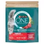 Purina ONE Sterilcat sausa kaķu barība Liellopu gaļa un kvieši 750g