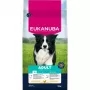 EUKANUBA Sausā barība suņiem pieaugušiem vidējo šķirņu suņiem, vistas gaļa, 15 kg
