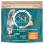 Purina ONE Adult kaķu barība ar vistu un veseliem graudiem 1.4 kg
