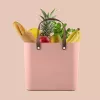 Rotho Multibag Albula Style 25L Uzglabāšanas Kaste, Meadow Rose