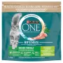 Purina ONE INDOOR Turkey & Whole Grains Dry Cat Food 750g