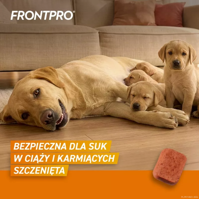 FRONTPRO Blusu un ērču tabletes suņiem (25-50 kg) - 3x 136 mg Afoxolaner košļājamās tabletes