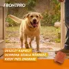 FRONTPRO Blusu un ērču tabletes suņiem (25-50 kg) - 3x 136 mg Afoxolaner košļājamās tabletes