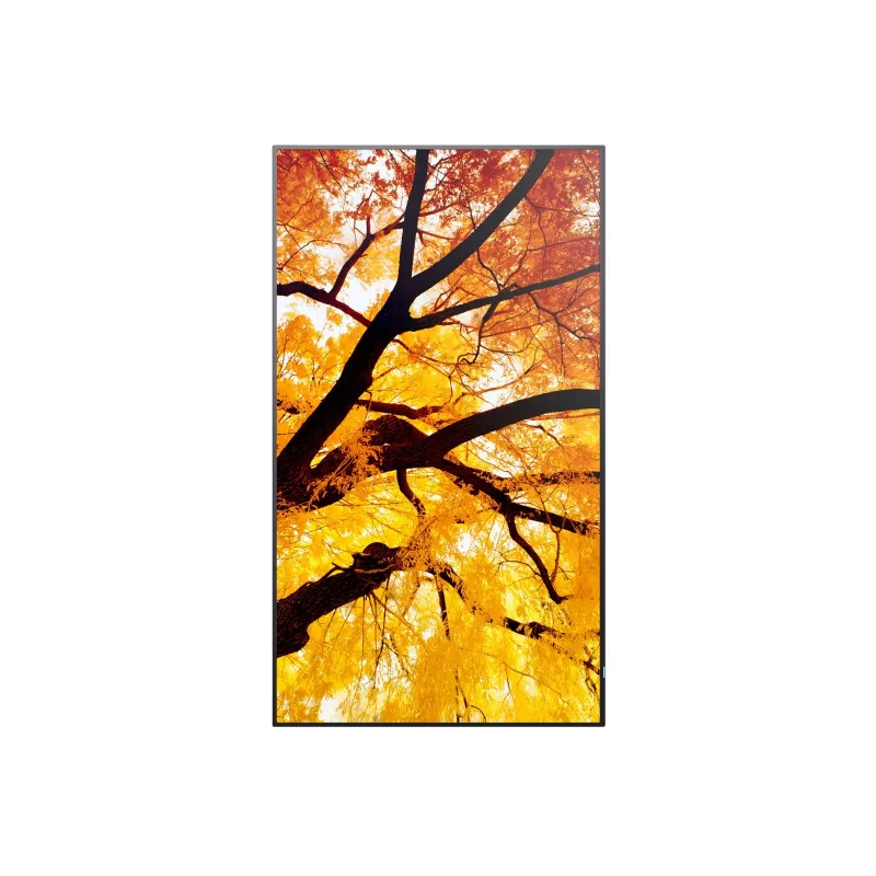 Sharp MultiSync M652 65 collu 4K UHD profesionālais displejs 550 cd/m² 24/7