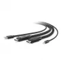 Belkin Secure KVM Combo Cable - Tastatūras/video/peles/audio kabelis - TAA atbilstošs - USB, Mini savienotājs, DisplayPort (vīrišķais) - 3 m