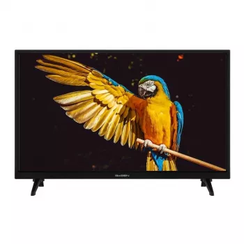 GoGEN TVH24A336 24 collu HD Ready LED televizors