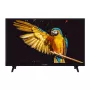 GoGEN TVH24A336 24 collu HD Ready LED televizors