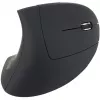 Equip 245110 Vertikāla ergonomiska bezvadu pele - labās rokas lietotājiem - 2,4 GHz - USB uztvērējs - Melna
